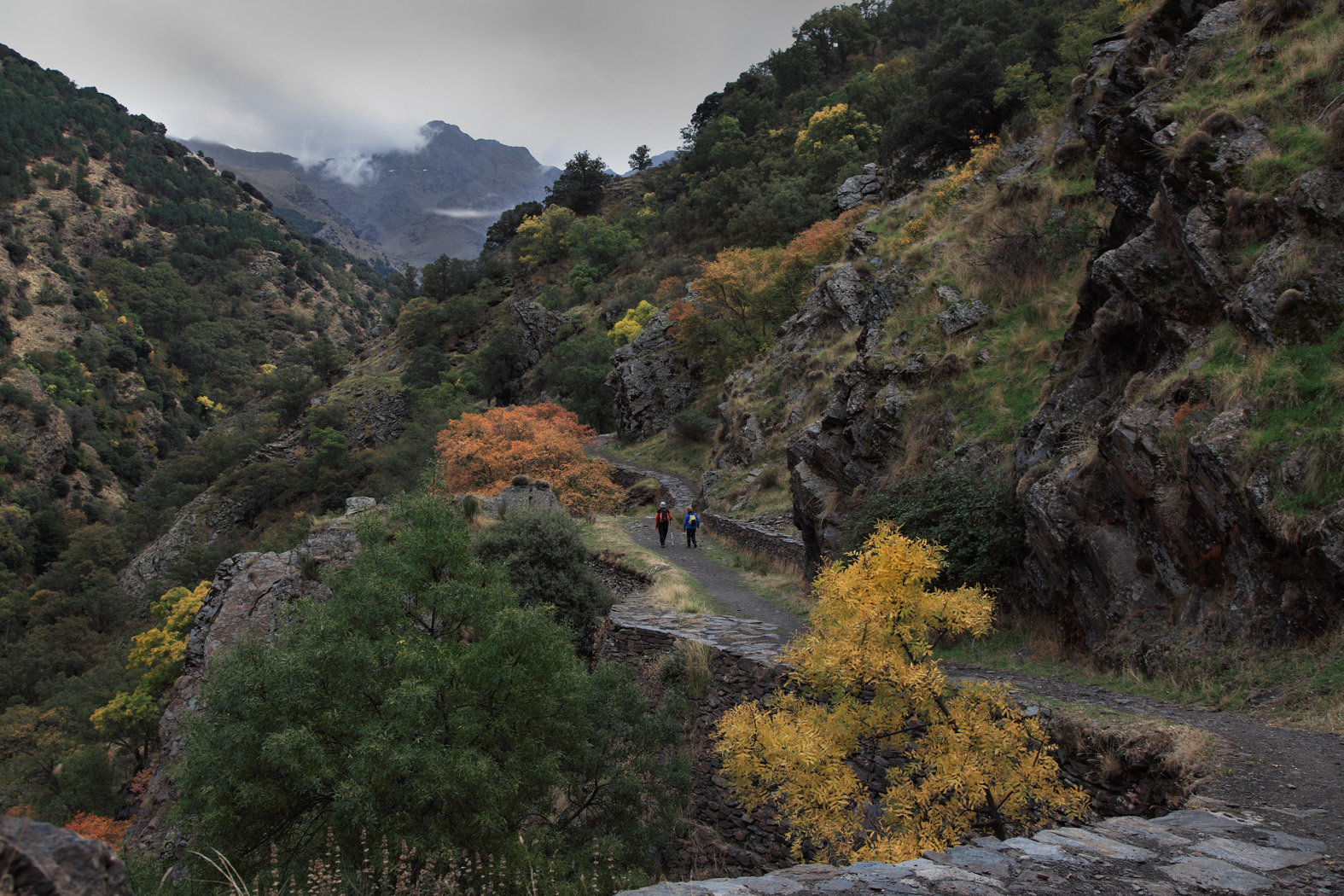 Ruta senderismo  La Vereda Estrella  WEEKY