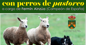 Exhibición Canina con perros de pastoreo EXHIBICIÓN DE PASTOREO_weeky