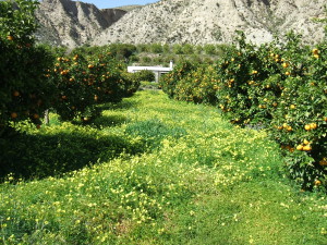 Rágol, Almería