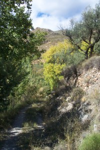 Bosque Ohanes, Almería