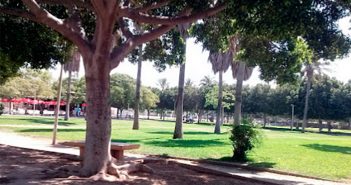 Parque Municipal de El Ejido