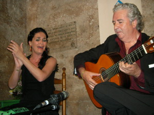 Espectáculo flamenco.