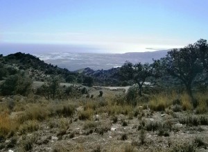 almeria sierra