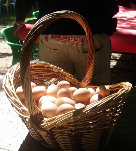 merendica huevos