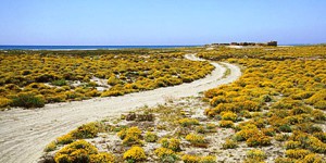 punta entinas