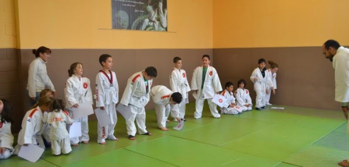 Jushirokan judo en Almería