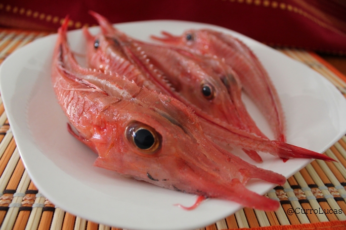 Armao El Pescado Que Vino Del Espacio Exterior WEEKY Armao El Pescado Que Vino Del Espacio Exterior WEEKY