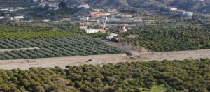 V Día de la Naranja en Gador