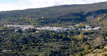 ¡A por castañas a Sierra Nevada!