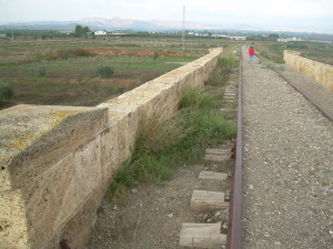 DSCN2499