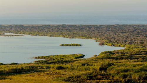 Punta Entinas-Sabinar El Ejido