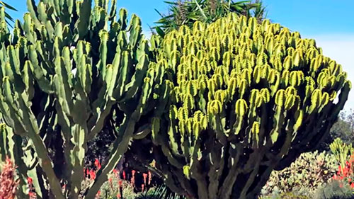 Qué hacer en Almería, descúbrela Parque del Boticario 