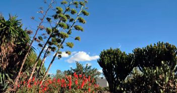 El Parque del Boticario: nuestro jardín botánico