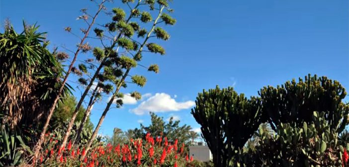 El Parque del Boticario: nuestro jardín botánico