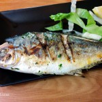 Bar Andarax, un río de pescado fresco