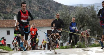 Carrera popular para perros en Almería