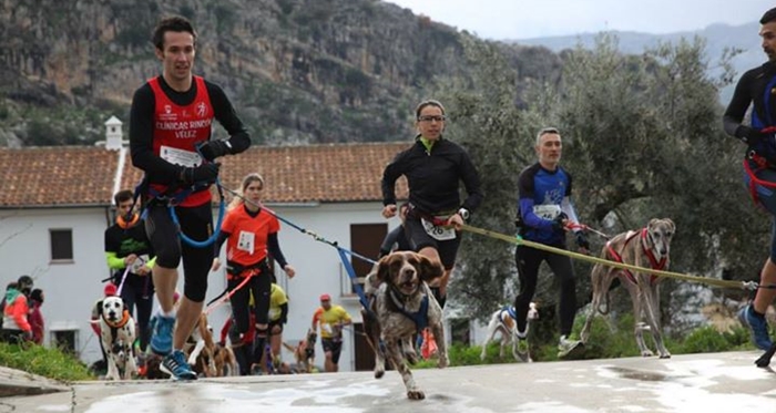 Carrera popular para perros en Almería