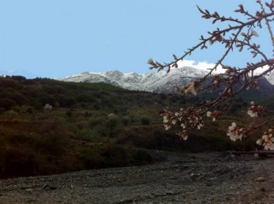 Montaña Sierra Nevada