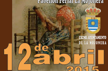 XI Encuentro de Encajeras de Bolillo en La Mojonera