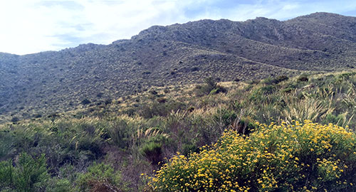 Valle de las Azanacas Almería
