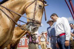 CABALLOSFERIA002