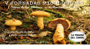 jornadas micologicas