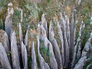 sorbas