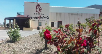 Bodegas Fuente Victoria, vinos con medalla