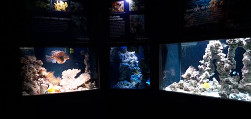 Aquarium de Roquetas de Mar