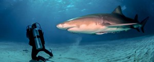 Actividades en Cabo de Gata - Qué hacer en Almería