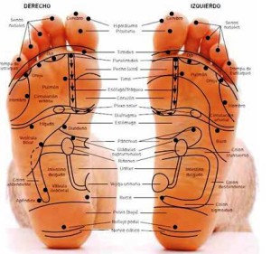 Curso Reflexología Podal 