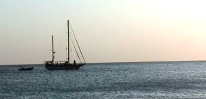 velero weeky
