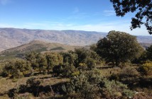 El Serbal, Abla