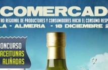 Ecomercado Abla 2016