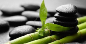 curso-1-reiki-