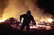 Hogueras de San Antón 2017