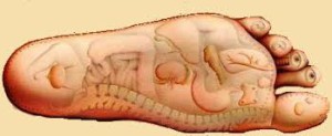 Curso de Reflexología Podal Práctica 