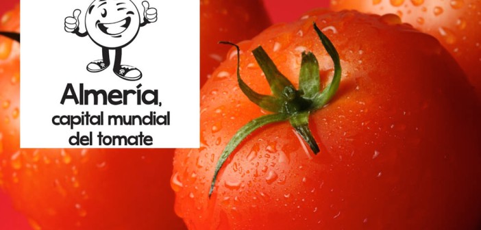 Almería, capital mundial del tomate 2017