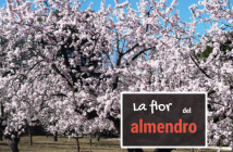 Ruta de Senderismo - La Flor del Almendro