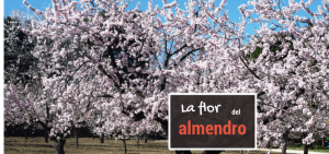 La-Flor-del-Almendro