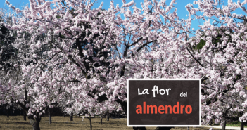 Ruta de Senderismo - La Flor del Almendro