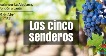 Ruta de Senderismo "Los Cinco Senderos"