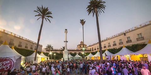 Festival Cerveza 2015