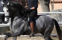 II Encuentro de Caballistas en Adra
