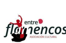 Espectáculo Flamenco