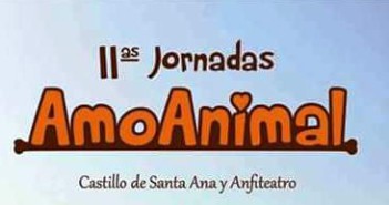 II AmoAnimal