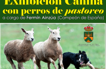 EXHIBICIÓN DE PASTOREO