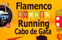 Carrera "Flamengo Summer 2017"