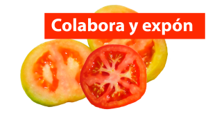 Colabora-y-expon