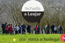 Ruta de Senderismo "Los Cinco Senderos"